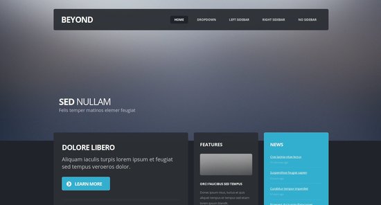 Anteprima template beyond