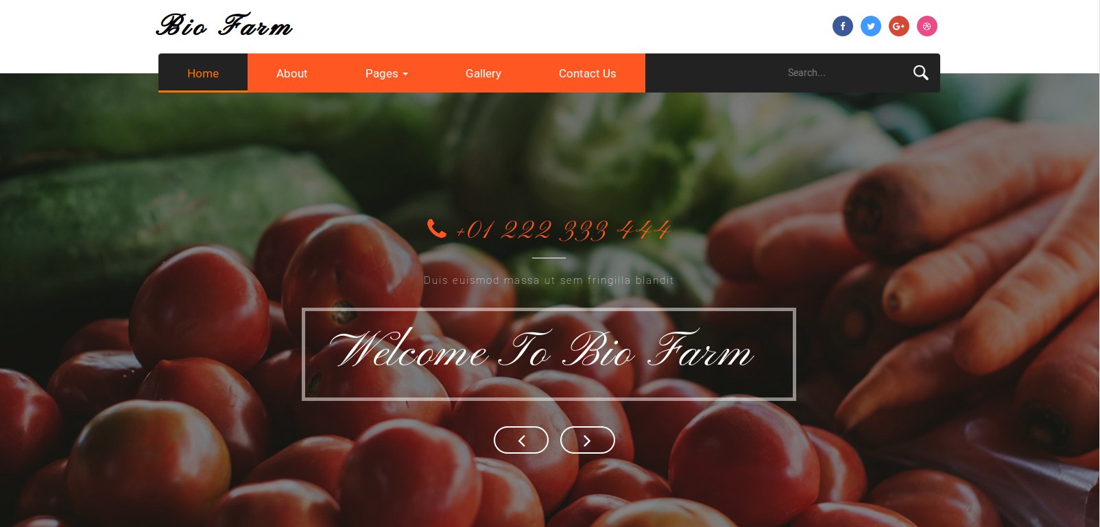 Anteprima template bio-farm-agriculture