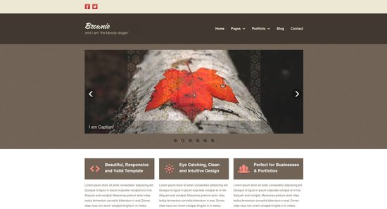 Anteprima template brownie