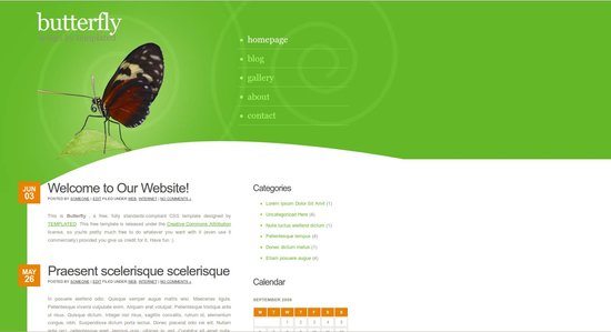 Anteprima template butterfly