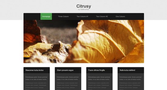 Anteprima template citrusy
