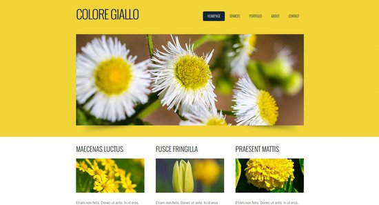 Anteprima template coloregiallo