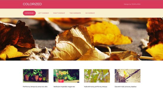 Anteprima template colorized