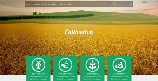 Anteprima template cultivation