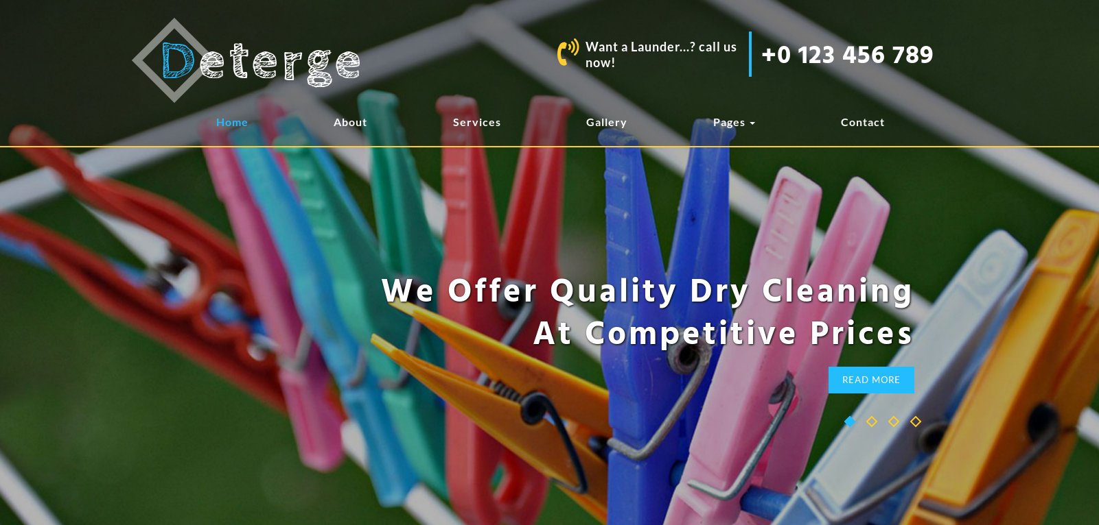 Anteprima template deterge-laundry