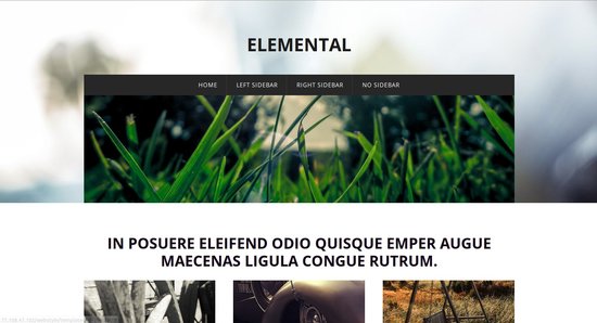 Anteprima template elemental