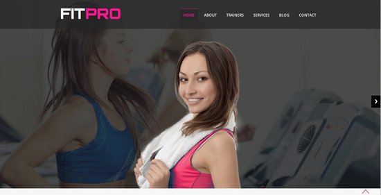Anteprima template fit_pro