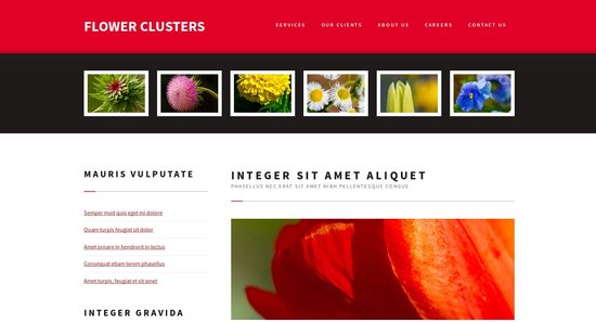 Anteprima template flowerclusters