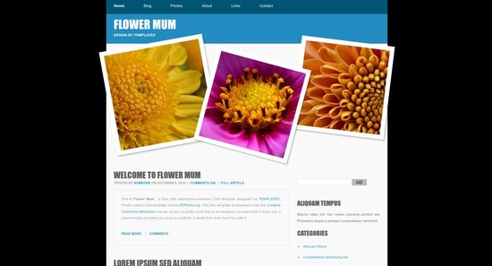 Anteprima template flowermum