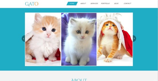 Anteprima template gato