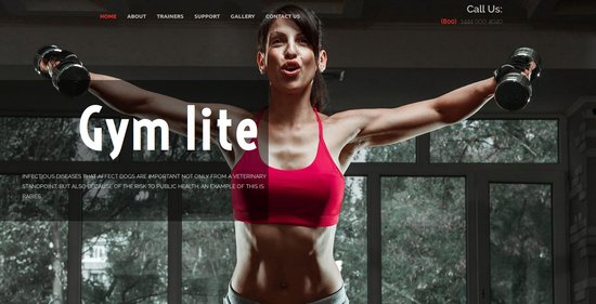 Anteprima template gym_lite