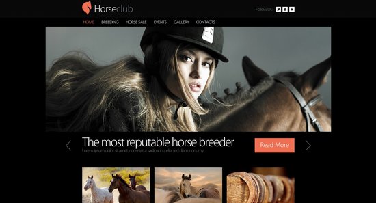 Anteprima template horse