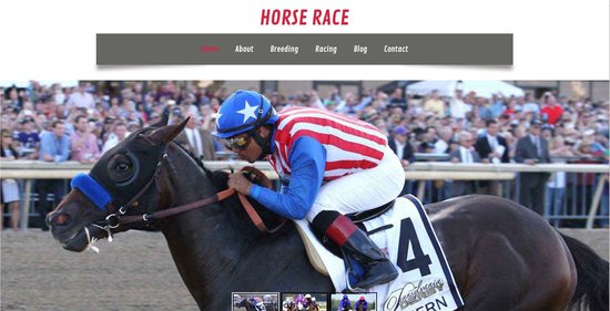 Anteprima template horse_race