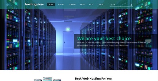 Anteprima template hosting_store