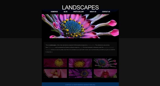 Anteprima template landscapes