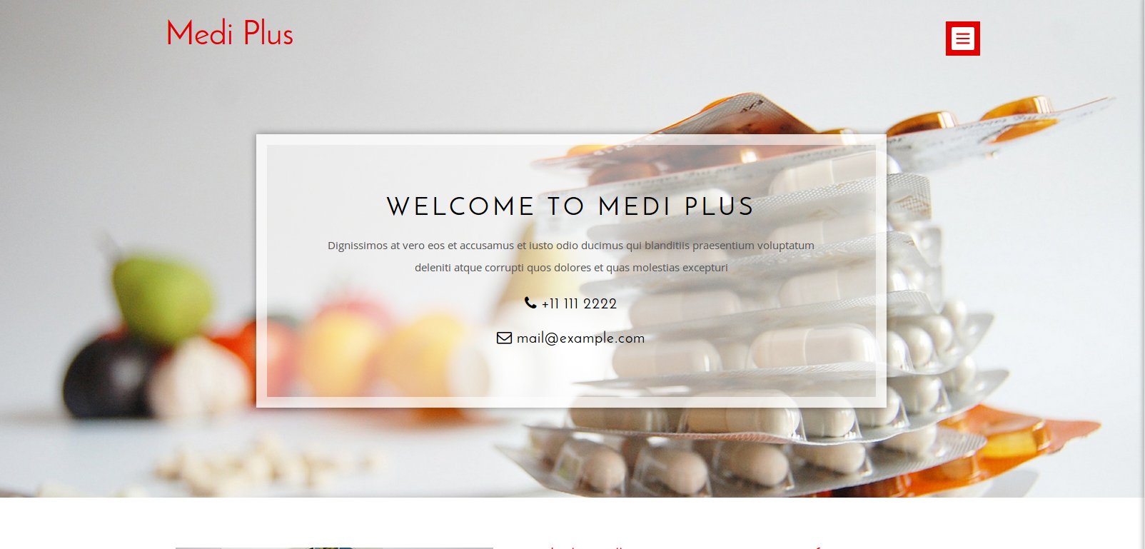 Anteprima template medi-plus