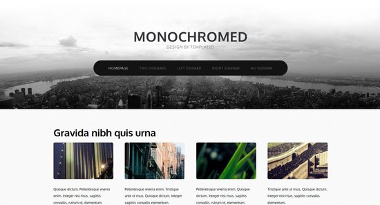 Anteprima template monochromed