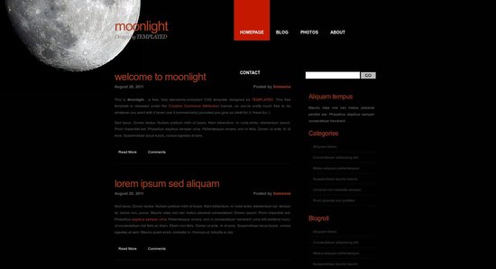 Anteprima template moonlight