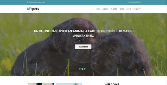 Anteprima template my_pets