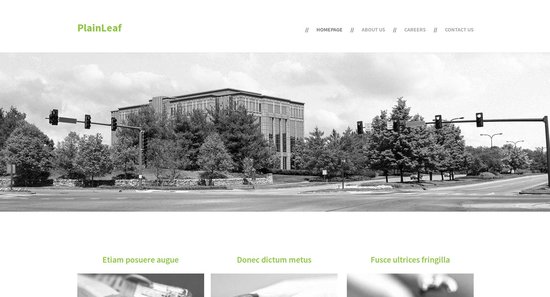 Anteprima template plainleaf