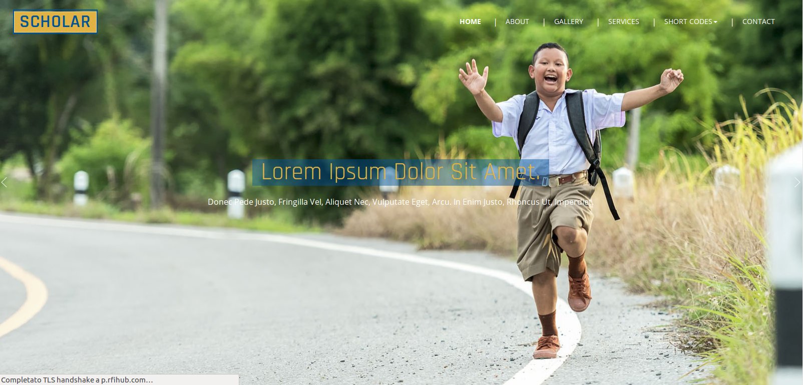 Anteprima template scholar-education