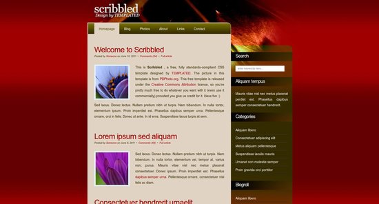 Anteprima template scribbled