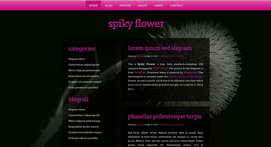 Anteprima template spikyflower