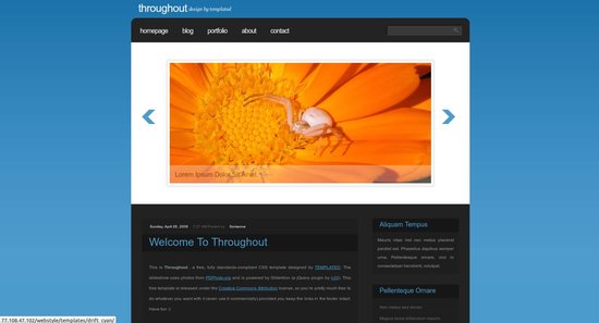 Anteprima template throughout