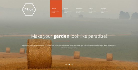 Anteprima template tillage