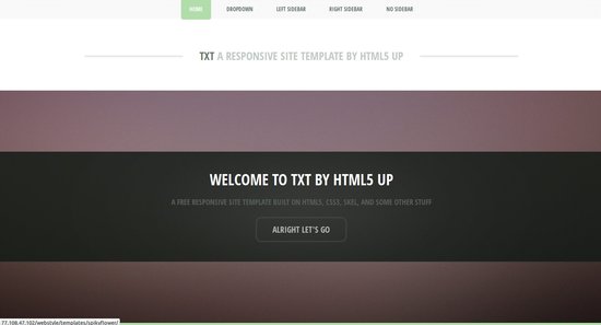 Anteprima template txt