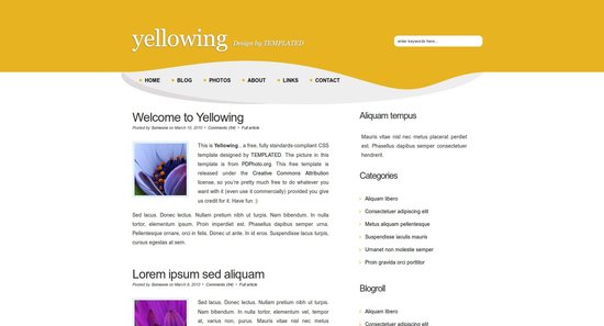 Anteprima template yellowing