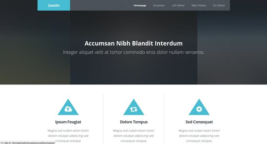Anteprima template zenith